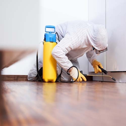 Best Pest Control Marketing Ideas for 2021