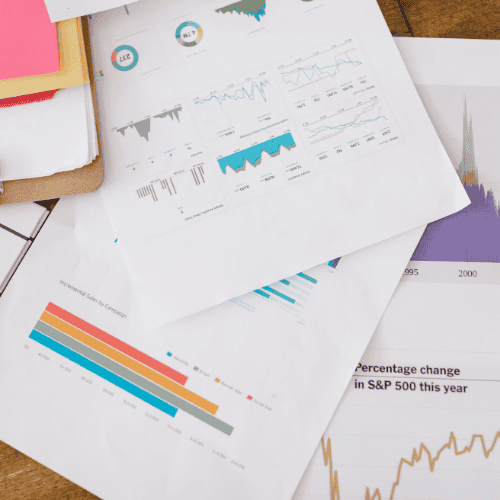 OMR Digital SEO Services in Indore multi vendor ecommerce business Case Study