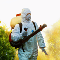Pest Control services
