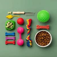 Pet Accessories