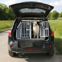 Pet Boarding Services