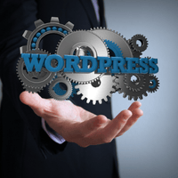 WordPress SEO