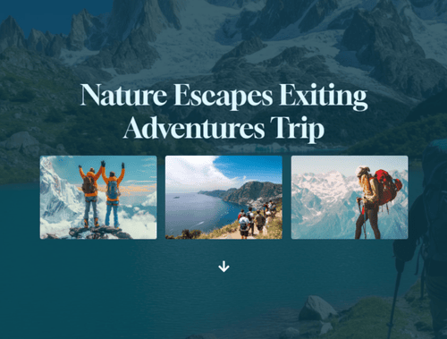 travel brand case study