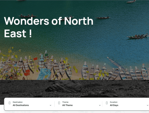 Travel Platform case study multi vendor ecommerce business Case Study